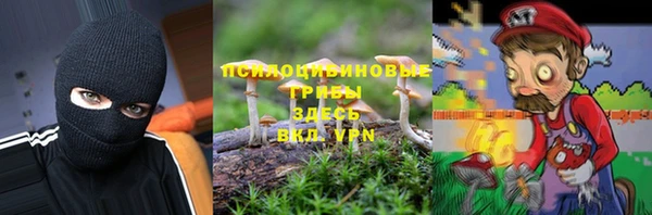 МДПВ Алексин