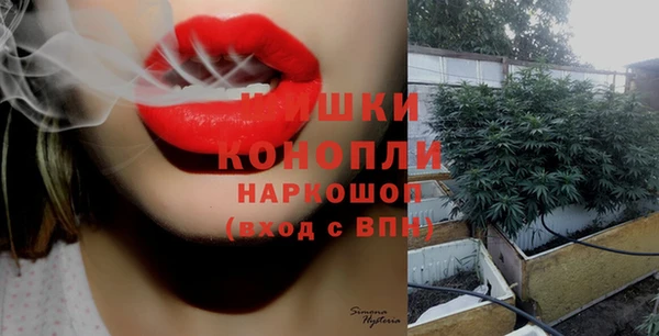 ГАЛЛЮЦИНОГЕННЫЕ ГРИБЫ Алзамай